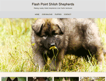 Tablet Screenshot of flashpointshilohs.com